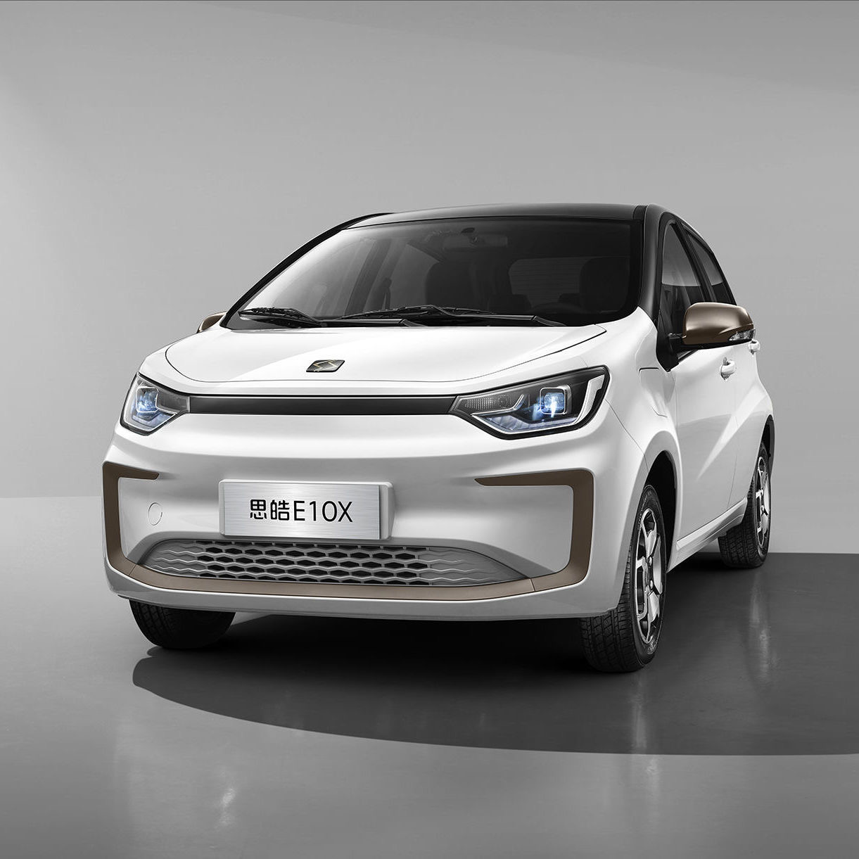【全款整车】大众思皓e10x  2021款豪华版